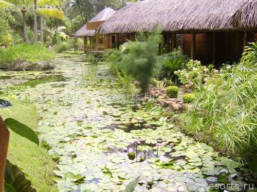 Bora-Bora Pearl Beach Resort 46